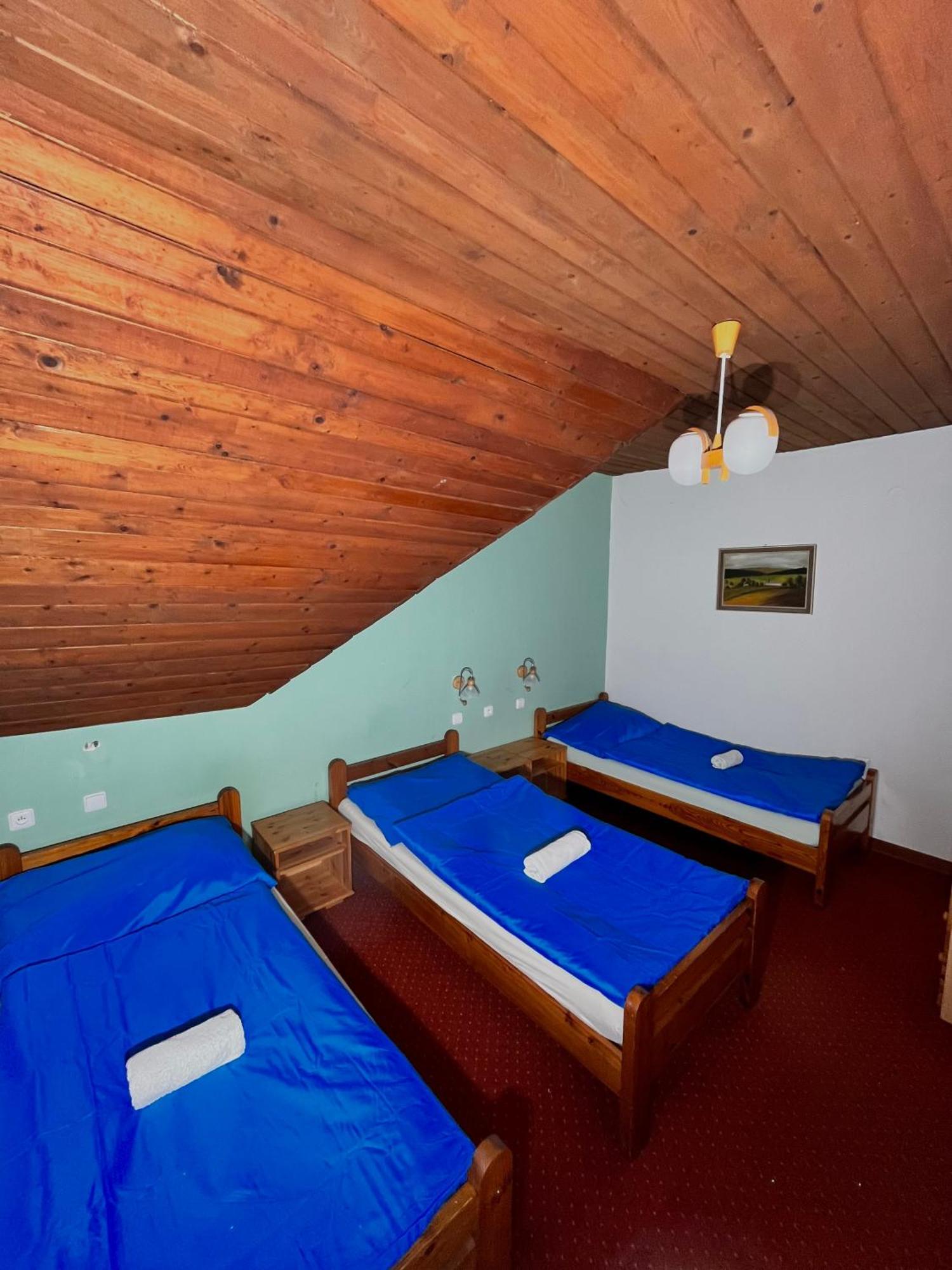 Vila Morava Hotel Liptovský Mikuláš Exterior foto